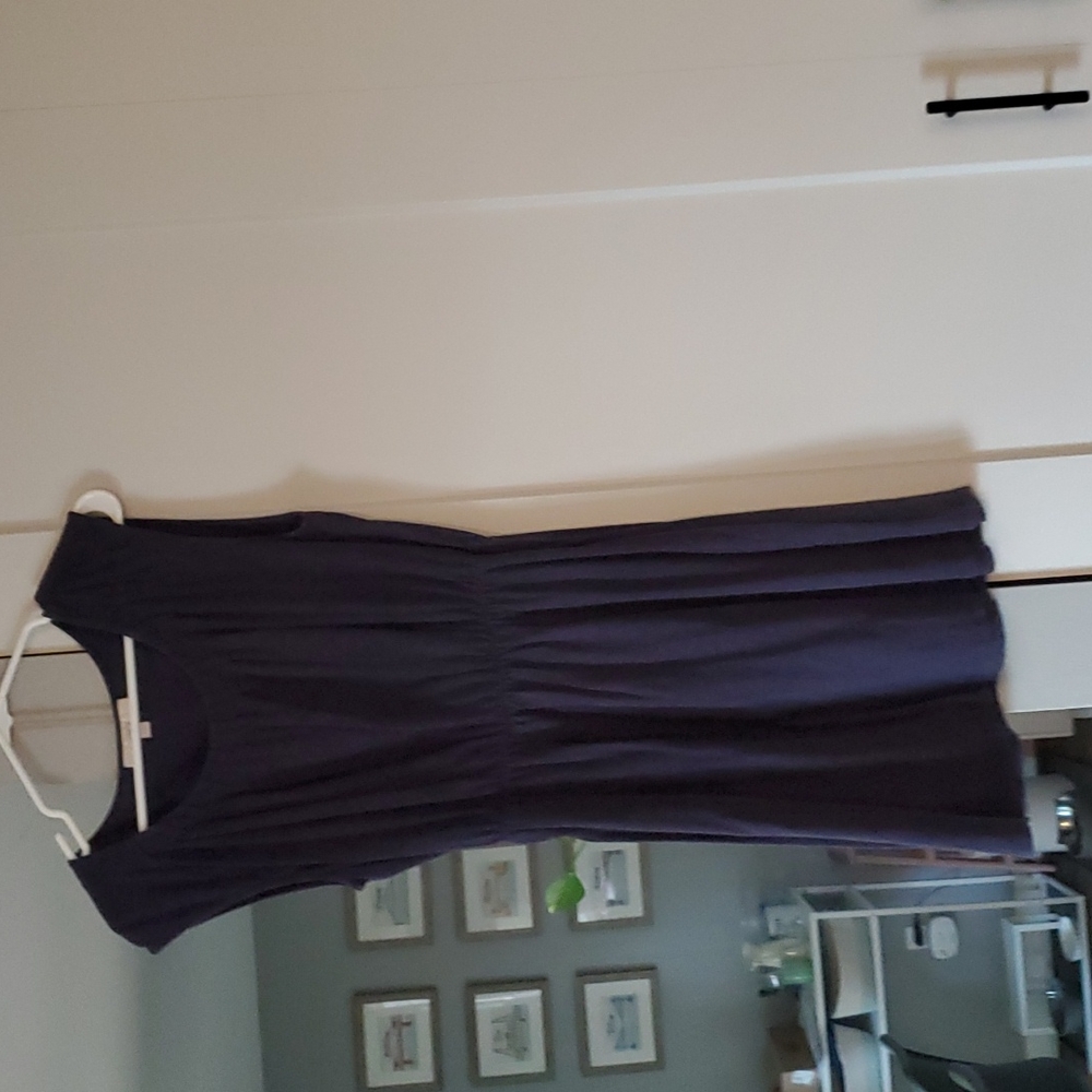 Loft Navy Dress